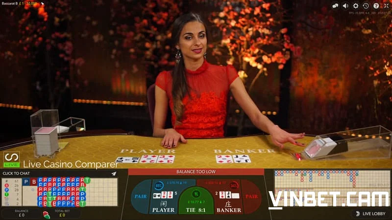 Tổng quan về baccarat Vinbet