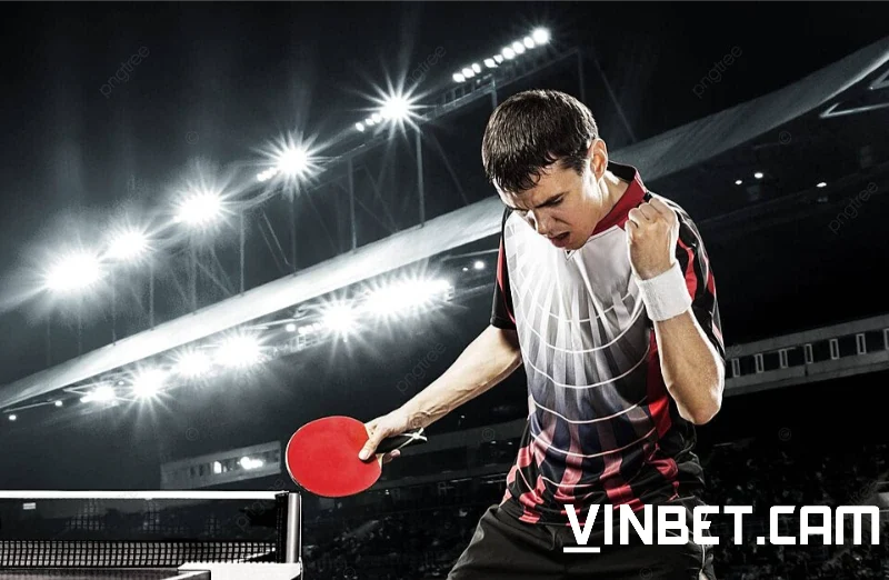 Tổng quát về cá cược bóng bàn Vinbet